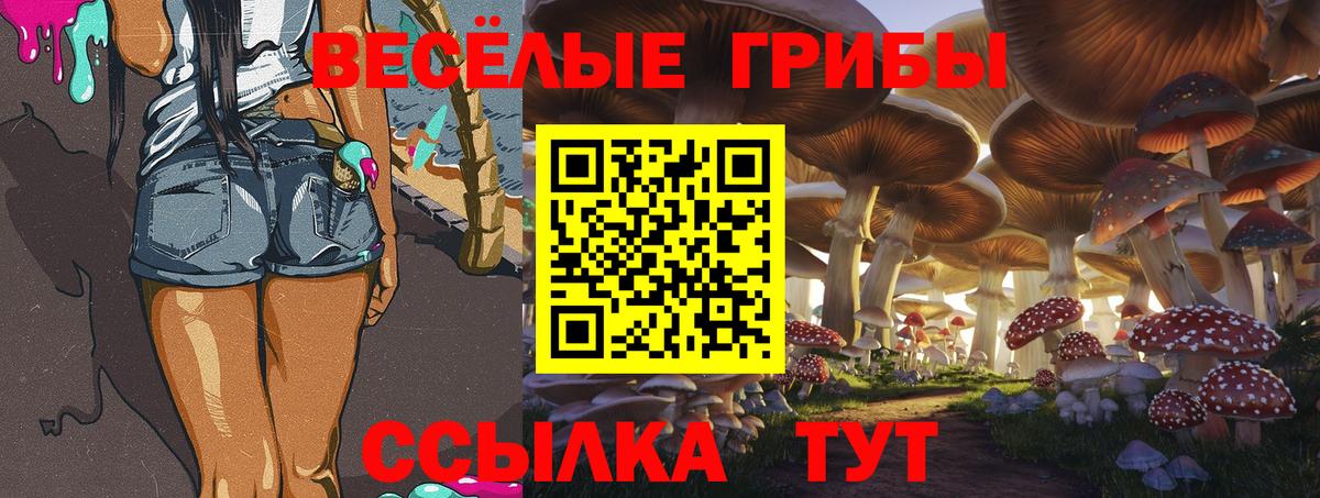 Псилоцибиновые грибы мухоморы  Вход с VPN  Ахтубинск 