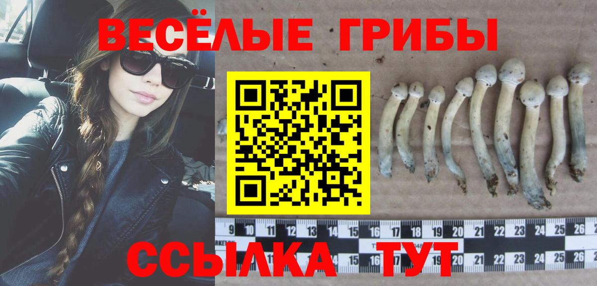 Псилоцибиновые грибы GOLDEN TEACHER Ахтубинск